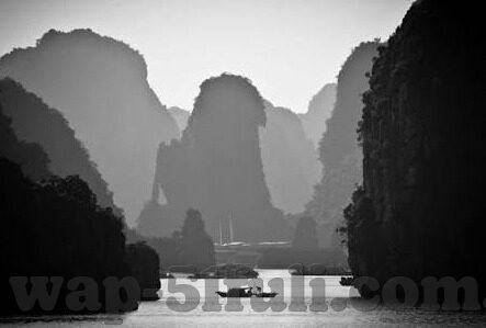 91杨柳果冻传媒资料-91杨柳果冻传媒，探索成人娱乐的创意与边界