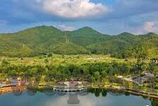 阿凡达成人版在线手机视频-成人世界里的虚拟桥梁，阿凡达成人版在线手机视频的多元视角