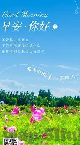 成人h视频在线观看-与网络伦理，理性审视与自我保护
