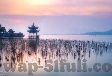 iOS糖心app免费下载-全新体验，尽在指尖，iOS上免费获取糖心app的便捷之旅