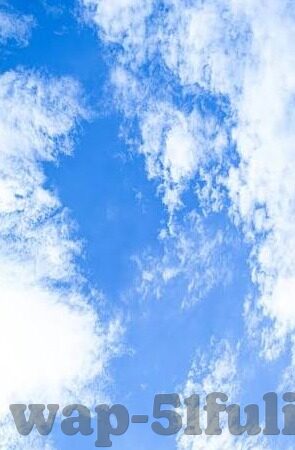 麻豆传媒的视频-网络文化与当代媒体视界下的麻豆传媒视频探析