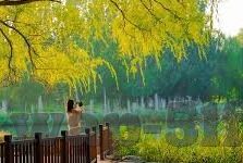 蜜桃一区二区三区-蜜桃乐园的甜蜜探索，一区、二区、三区的奇妙之旅