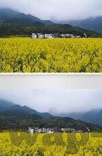 人妻色小说-探寻人妻色小说，文化、情感与想象的交织