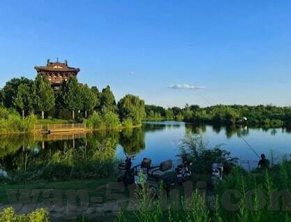 射精视频麻豆-揭秘网络暗流，当射精视频遇上麻豆的灰色地带