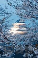 糖心app下载安卓-探索高能娱乐新领地，安卓用户必知的糖心应用获取指南