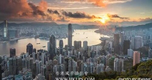 糖心视频app广告-揭秘糖心视频APP，广告背后的真相与识别陷阱