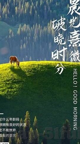 糖心vlog版-记录生活的甜蜜瞬间，糖心Vlog版的新视野